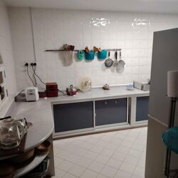 Lorong G Telok Kurau (D15), Semi-Detached #514495121